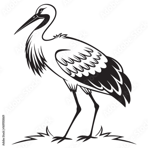 Elegant Stork Bird Black and White Illustration.