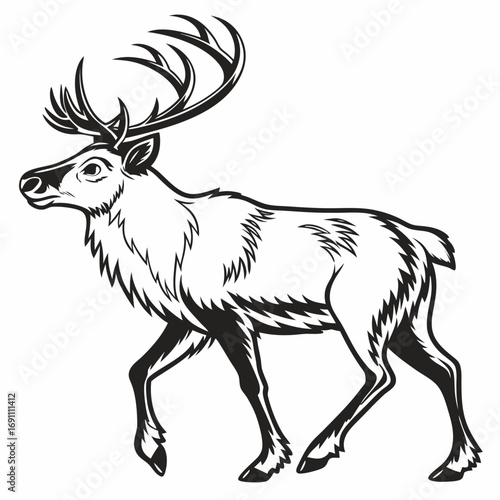 Majestic Reindeer with Antlers Black and White Vector Illustration.
