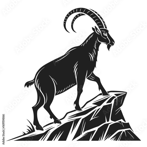 Silhouette of an ibex on a rocky outcrop