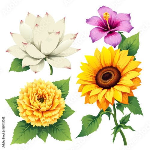set of flowers isolated