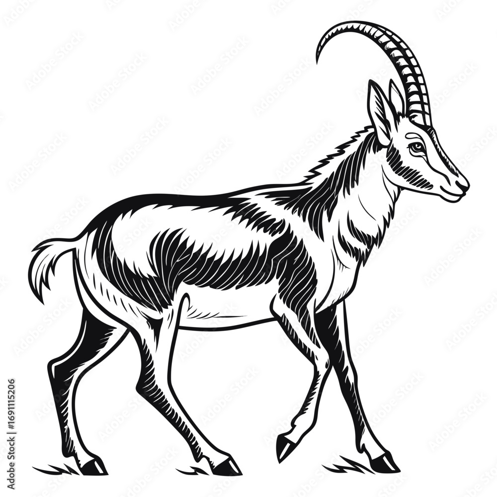 Fototapeta premium Black and white illustration of a majestic antelope walking