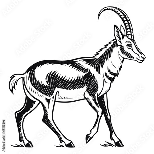 Black and white illustration of a majestic antelope walking