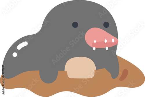 Snake , Lizard , Chameleon ,  Iguana , Toad , Salamander , Frog , Tortoise , Alligator , 
Raccoon , Skunk , Otter , Badger , Mole , Weasel , Possum