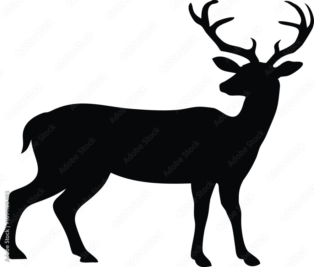 Fototapeta premium Majestic Standing Deer Silhouette with Antlers 