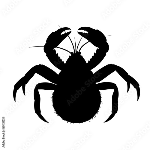 Hermit crab silhouette isolated on white background