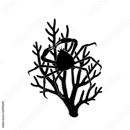 Silhouette of a crab on coral isolated on white background