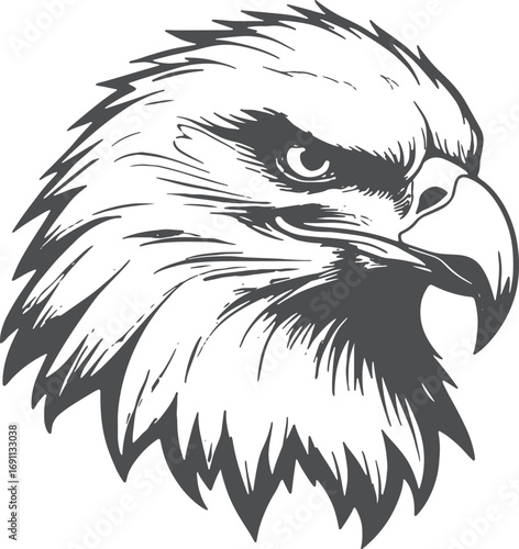 Fierce Eagle Head Illustration in Black and White Vector Style