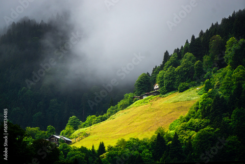 Stuning forest and river views of Karadeniz Black Sea region of Northern Turkey Camlihemsin Cat Village in Rize Turkey