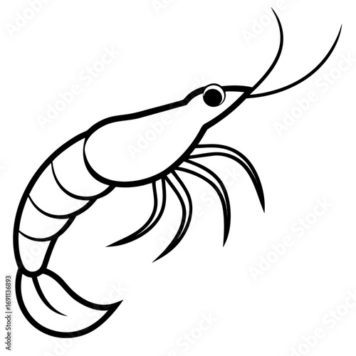 Shrimp outline vector, a modern shrimp icon art design, black vector of a shrimp, simple shrimp art, a shrimp animal isolated