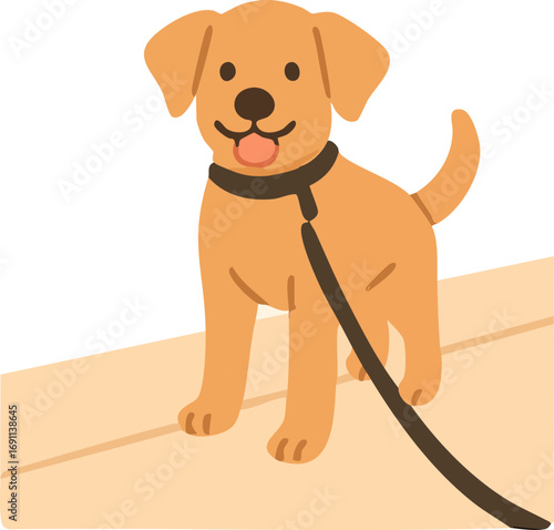 a happy brown dog on a leash, standing with its tongue out in a playful and friendly pose.