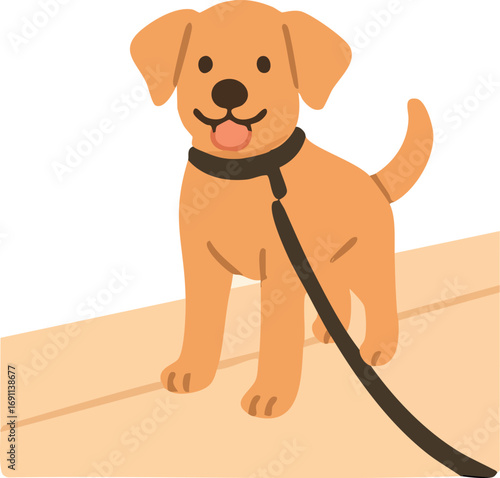 a happy brown dog on a leash, standing with its tongue out in a playful and friendly pose.