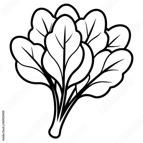 Spinach leaves outline vector, a modern spinach icon art design, black vector of a spinach, simple spinach art, a spinach isolated