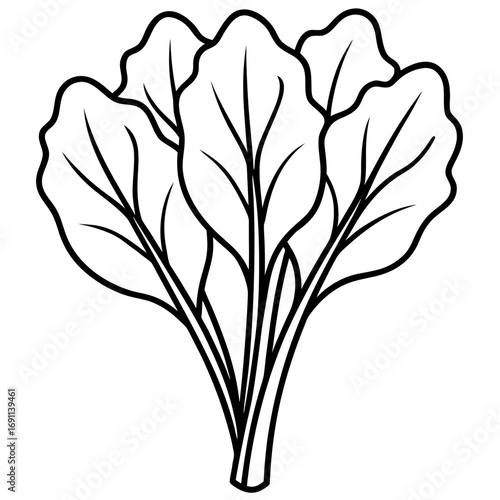 Spinach leaves outline vector, a modern spinach icon art design, black vector of a spinach, simple spinach art, a spinach isolated