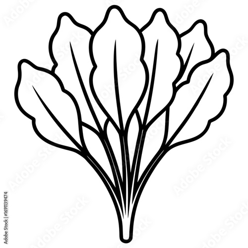 Spinach leaves outline vector, a modern spinach icon art design, black vector of a spinach, simple spinach art, a spinach isolated