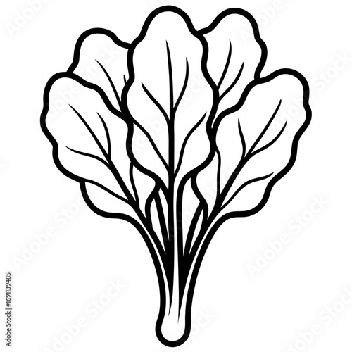 Spinach leaves outline vector, a modern spinach icon art design, black vector of a spinach, simple spinach art, a spinach isolated