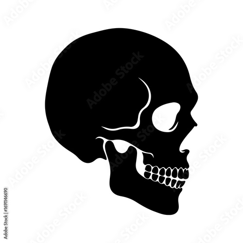 Black human skull silhouette in profile view isolated on white 1.