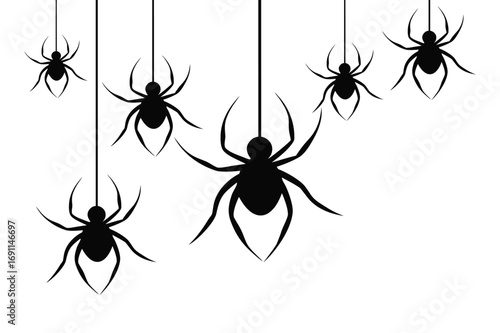 Silhouette of spiders descends or ascends on  rope vector illustration