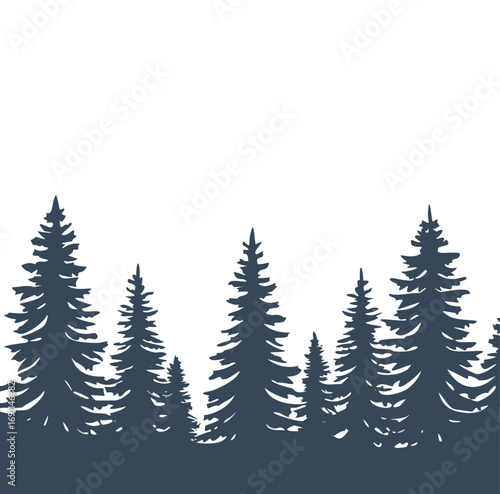 Dark blue pine trees against white background forest silhouette