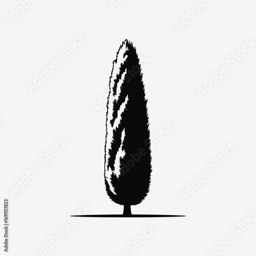Vector art of silhouette of a classic italian cypress tree, known for its elegant and formal appearance