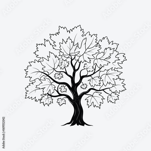 Illustration of a maple tree with leaves, a classic representation of autumns vibrant colors