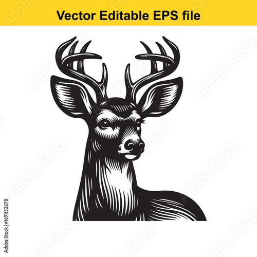 Detailed illustration of a deer head with antlers isolated on white background