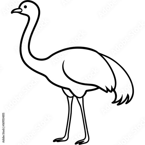 Ostrich bird outline vector, a modern ostrich bird icon art design, black vector of an ostrich bird, simple ostrich bird art, an ostrich bird isolated