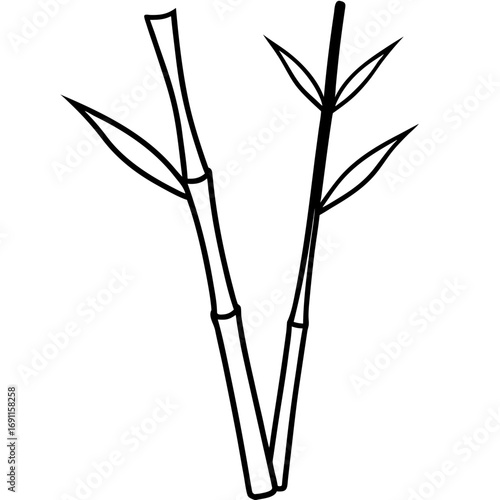 Bamboo tree vector, a modern bamboo leaves art design, black vector of a bamboo leaves outline, simple bamboo leaves art, a set of bamboo leaves isolated