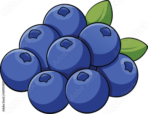 Cluster of Blueberries with Green Leaves fruit food