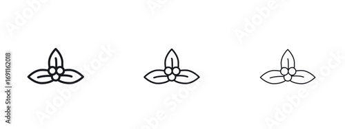 Christmas holly berry icon logo vector template. Simple style icons