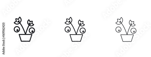 Berry shrubs and vines icon logo vector template. Simple style icons