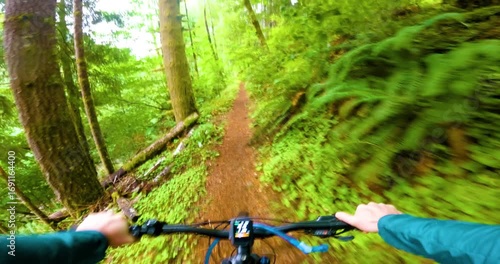 POV Mountain Biking Adventure Through Mossy Forest Landscape