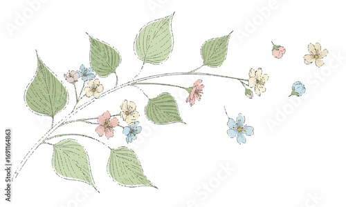 Delicate floral illustration with leaves and blossoms on a white background.