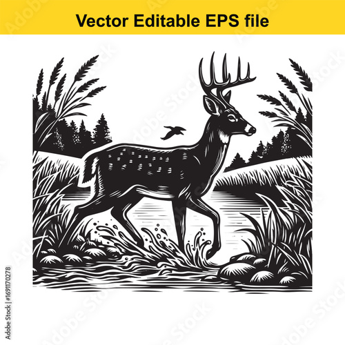 A majestic buck walks through a stream in a forest, vector art