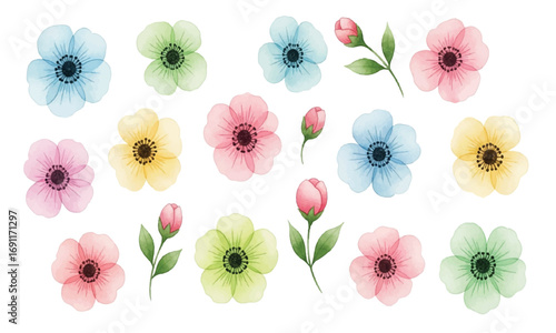 Watercolor flowers illustration on a white background, design element