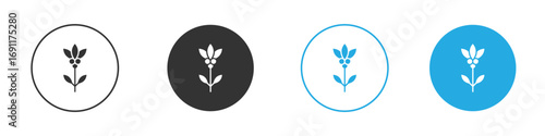Coffee plant icon vector design pack. symbol logo.