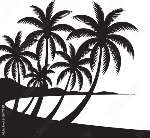 silhouette of a palm tree