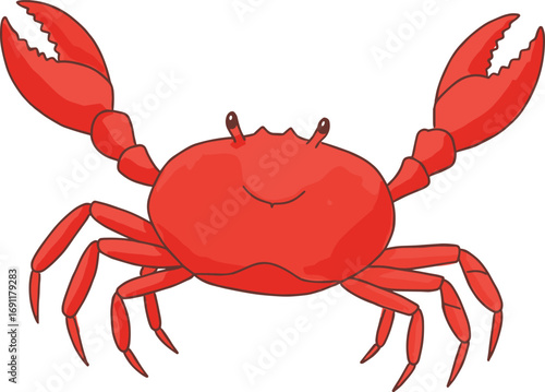 Cartoon red crab illustration, cute marine animal design, ocean sea creature artwork, coastal wildlife vector art, beach theme concept, cad drawing flat vector illustration