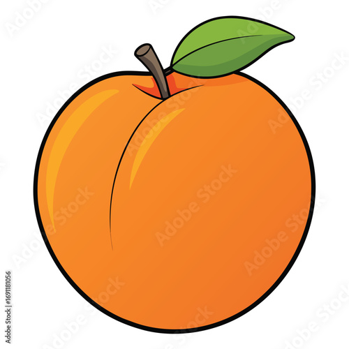 Peach Illustration - A Juicy and Vibrant Close-Up