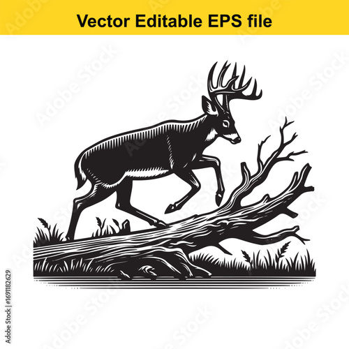 Deer standing in forest with fallen tree, vector illustration