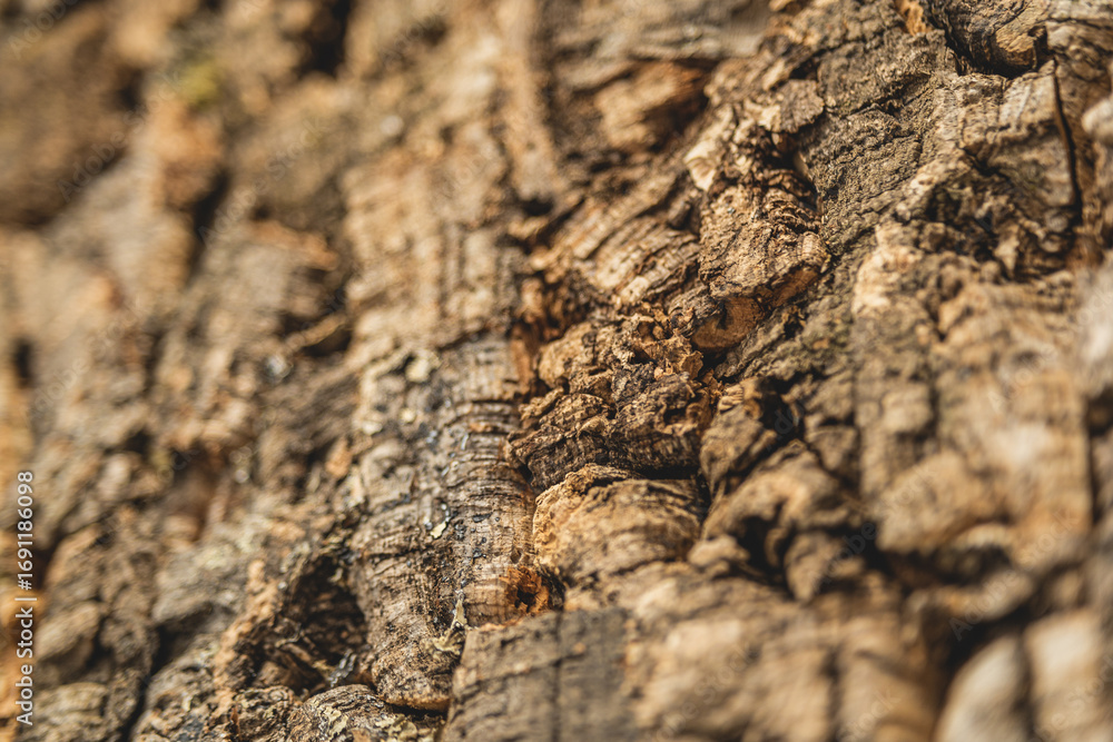 Detailed close-up of natural cork oak tree bark texture, rough surface pattern in warm tones.