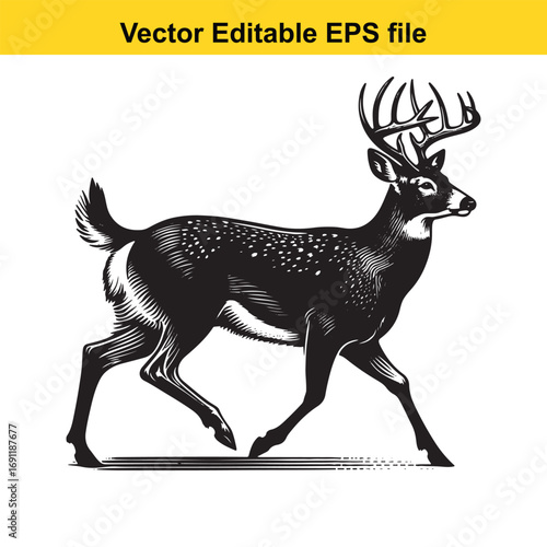 Black and white illustration of a majestic stag deer isolated on white background