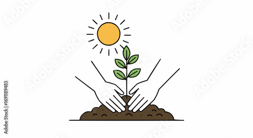 Hands planting a seedling in soil under the sun  