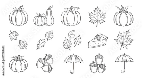Autumn line-art collection — pumpkin, assorted leaves, acorns, maple leaves and umbrella seasonal sketch set