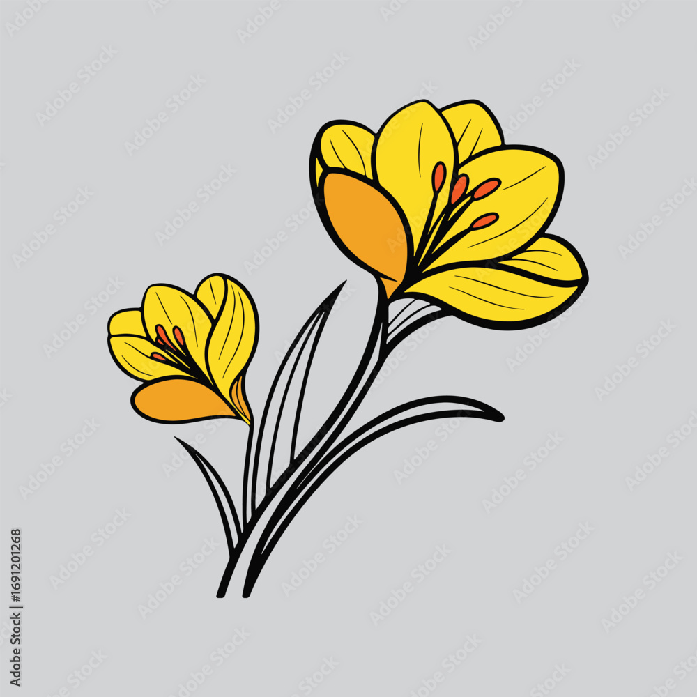 Fototapeta premium Stylish White Canna Lily with Leaf Vector Art