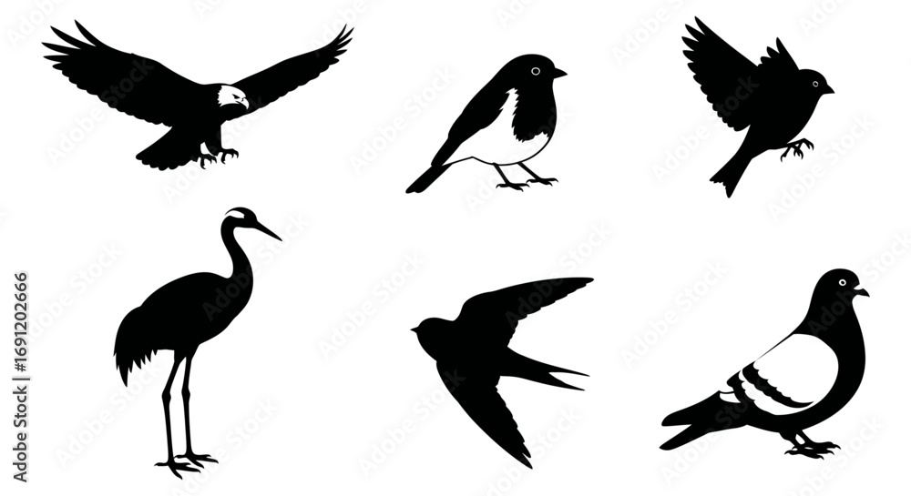 Obraz premium Dynamic vector illustration, a diverse collection of bird silhouettes, ideal for nature, wildlife, and avian design projects.