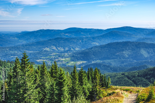 Fototapeta Naklejka Na Ścianę i Meble -  Wędrówka po Beskidzie Żywieckim