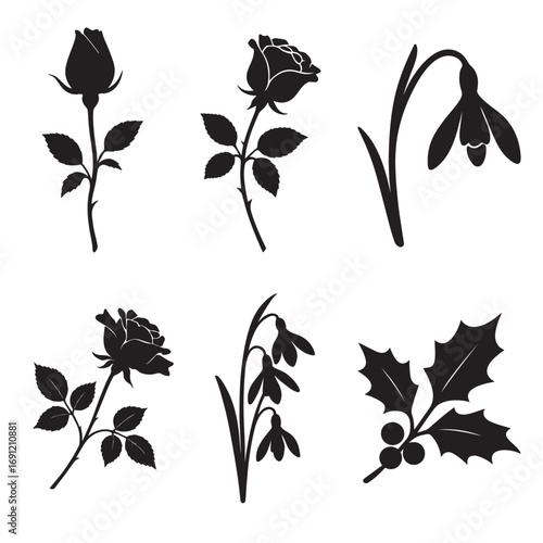 Winter Flower Silhouette Vector Pack – White Rose, Snowdrop, Pine Branch & Holly