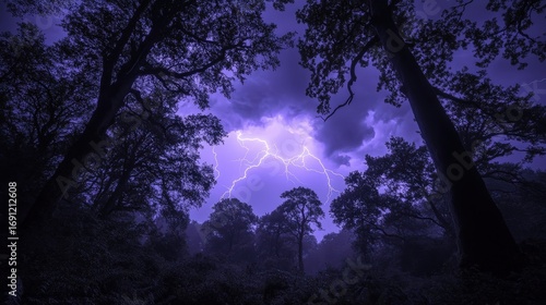Dramatic lightning strikes among tall trees under a stormy night sky, illuminating the forest in vibrant purple hues.