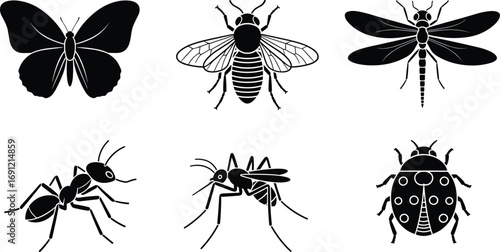 Insect silhouette icons, butterfly, bee, dragonfly, ant, mosquito, ladybug, black vector illustration, bug collection, nature, wildlife, pest, entomology
