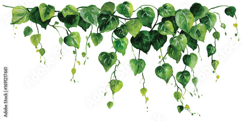 Watercolor Hanging Vines and Lush Green Leaves a Delicate Botanical Illustration Decorative Element Nature Artwork